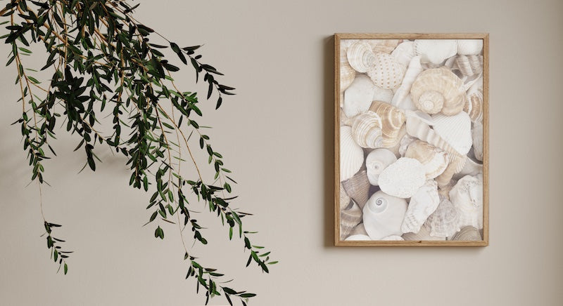 Nature Wall Art of seashells in wooden frame.