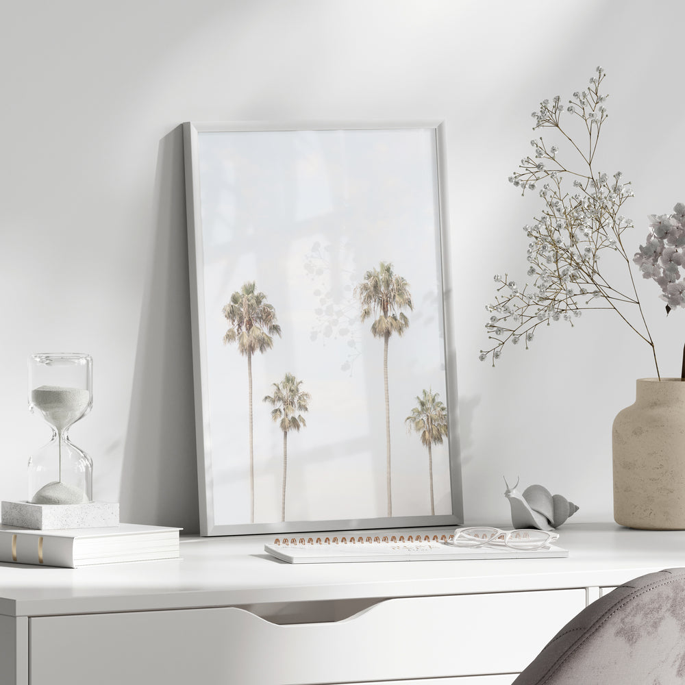 Four Palms Photographic Print