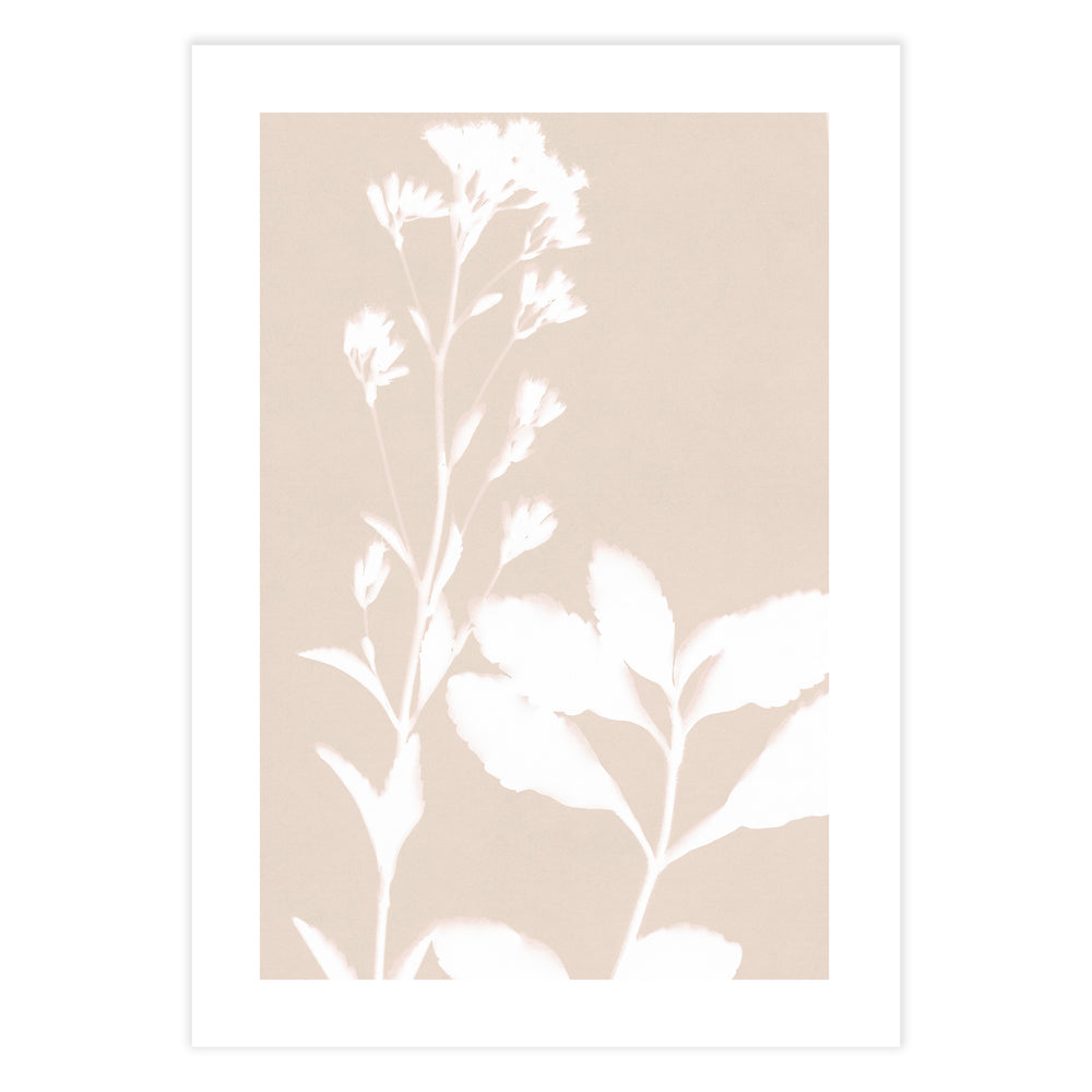 Neutral Bloom Botanic Print