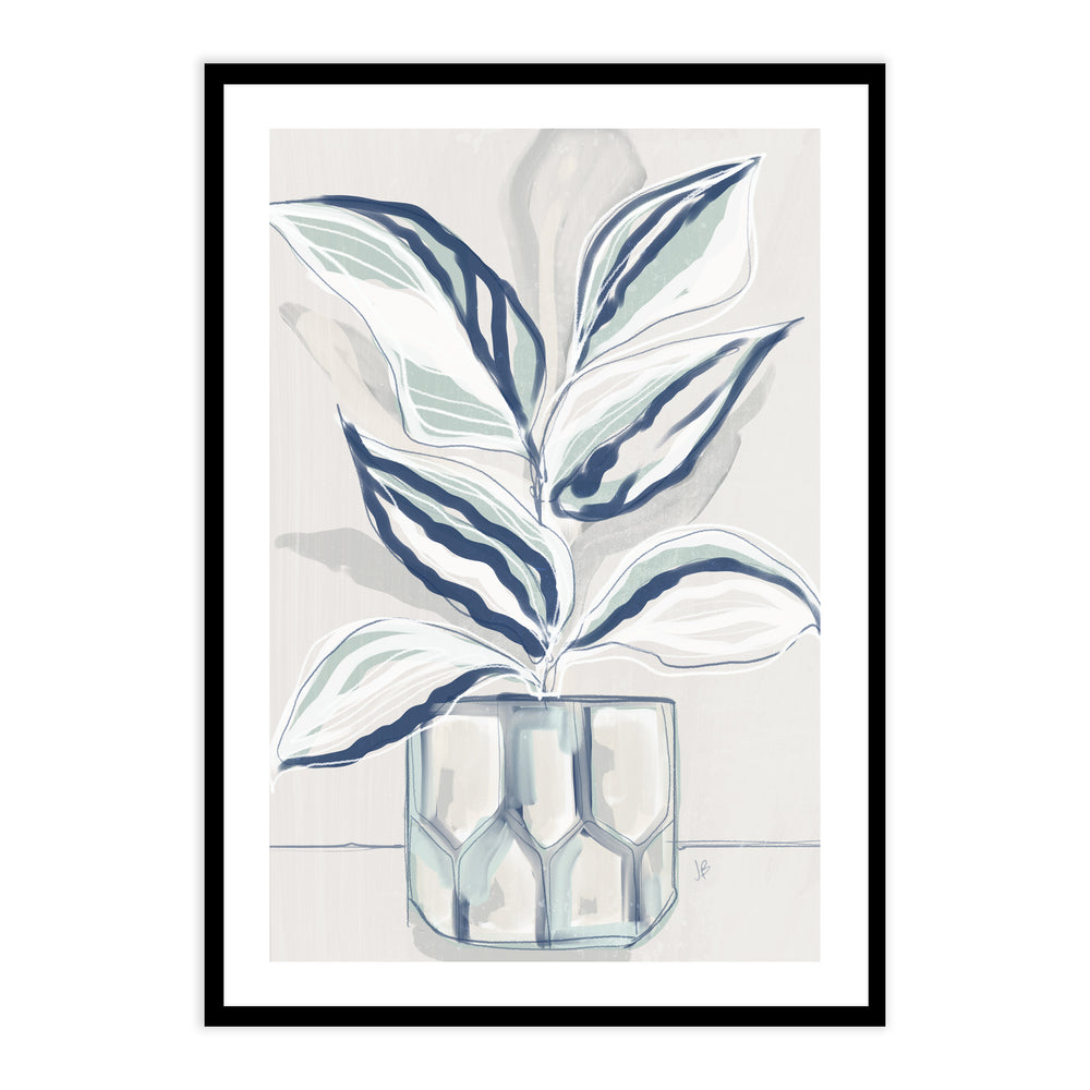 House Plant Wall Art Set - Calathea