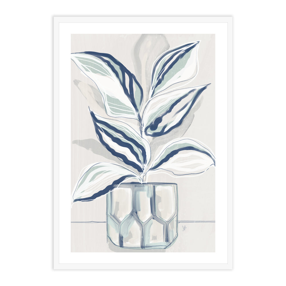 House Plant Wall Art Set - Calathea