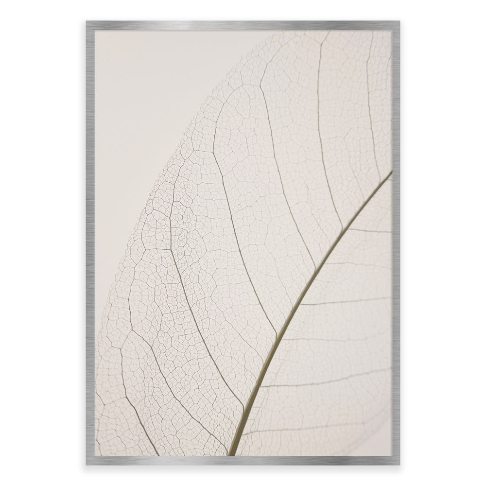 Calm Close Up Leaf Photographic Print 02 - Natural Neutrals