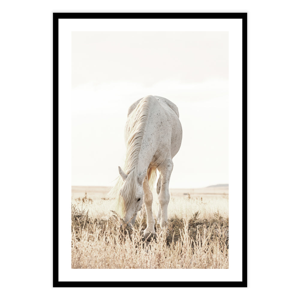 Grazing Horse Photographic Print