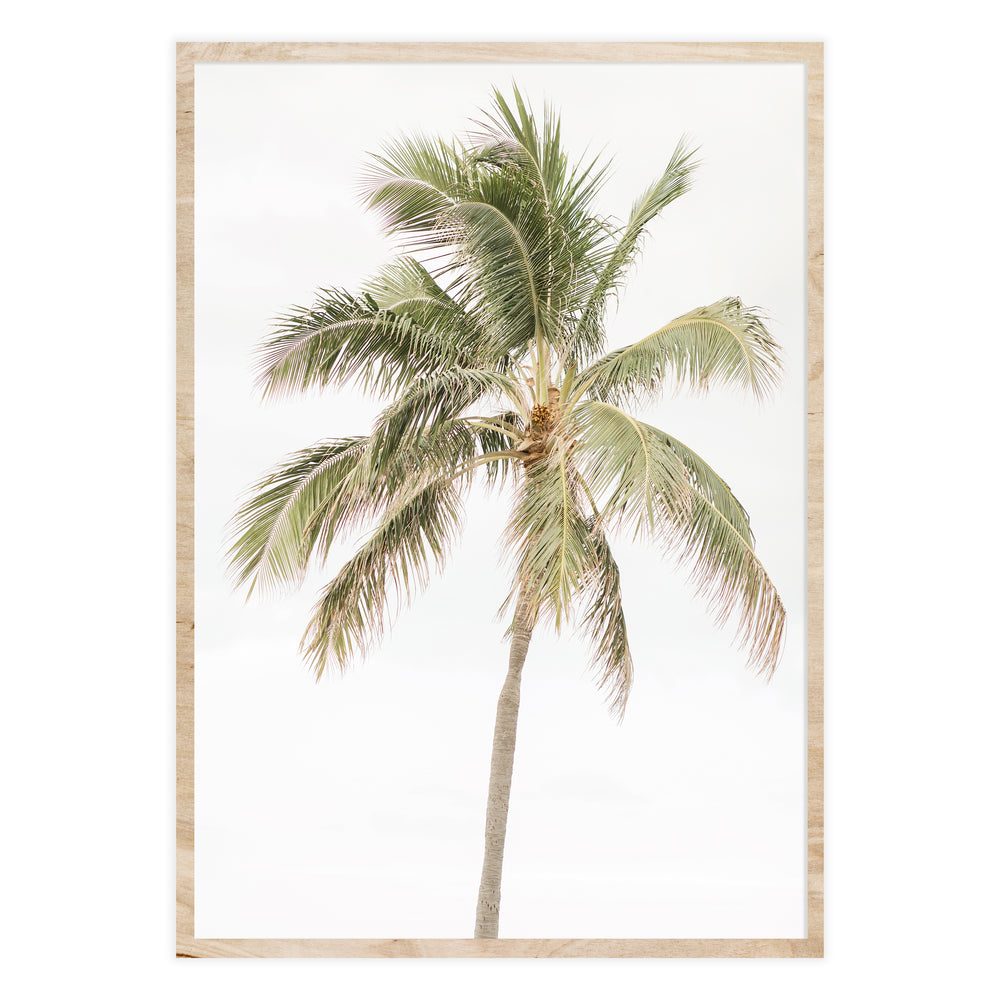 Palm Tree Photography Wall Art