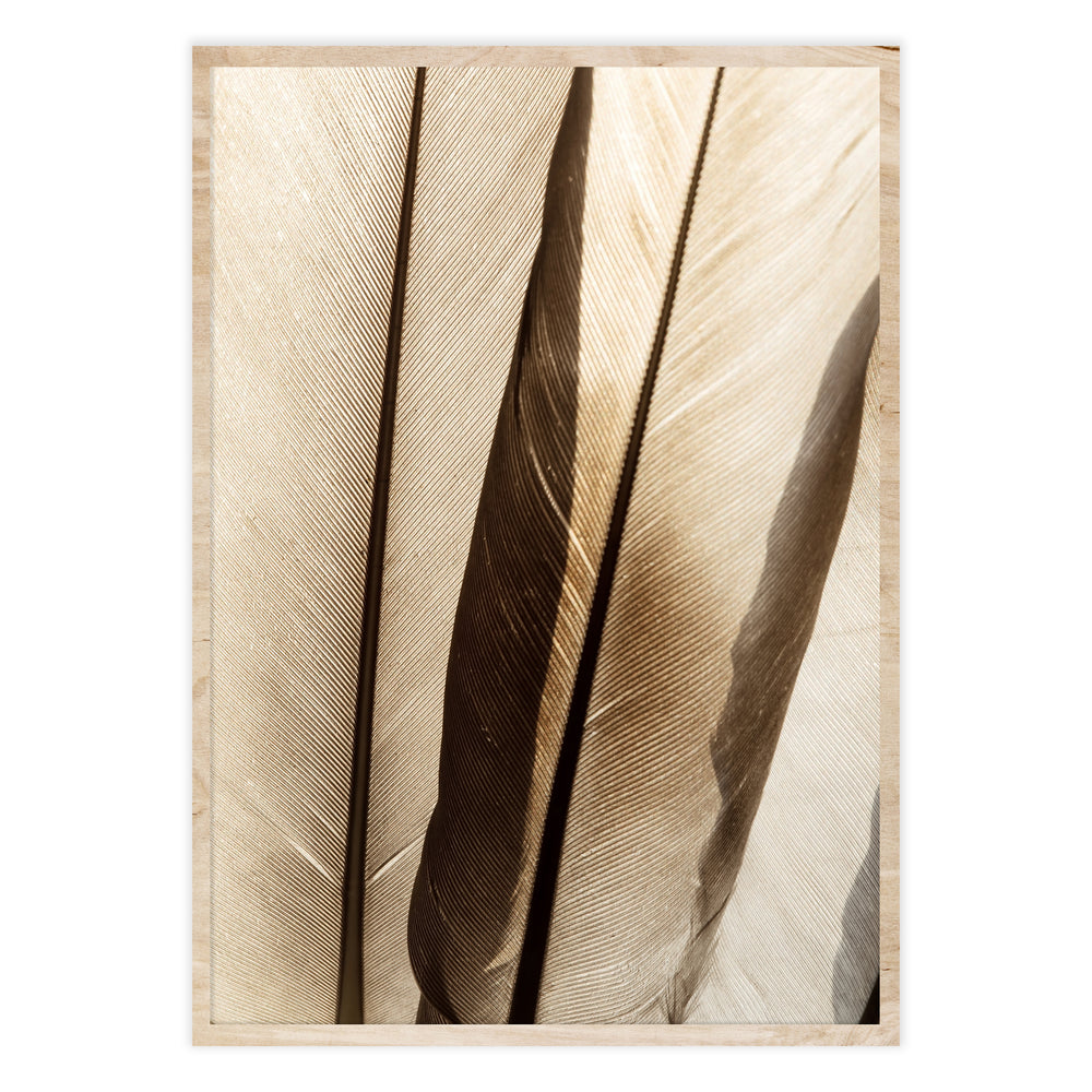 Wings Botanical Print No. 2 - Elegance from Ellisimo