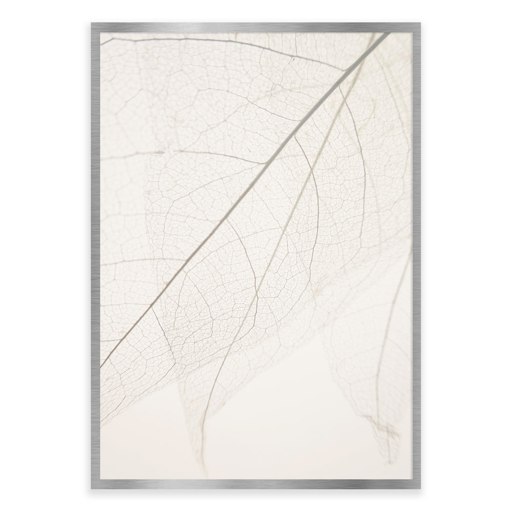 Calm Close Up Leaf Photographic Print 01 - Natural Neutrals