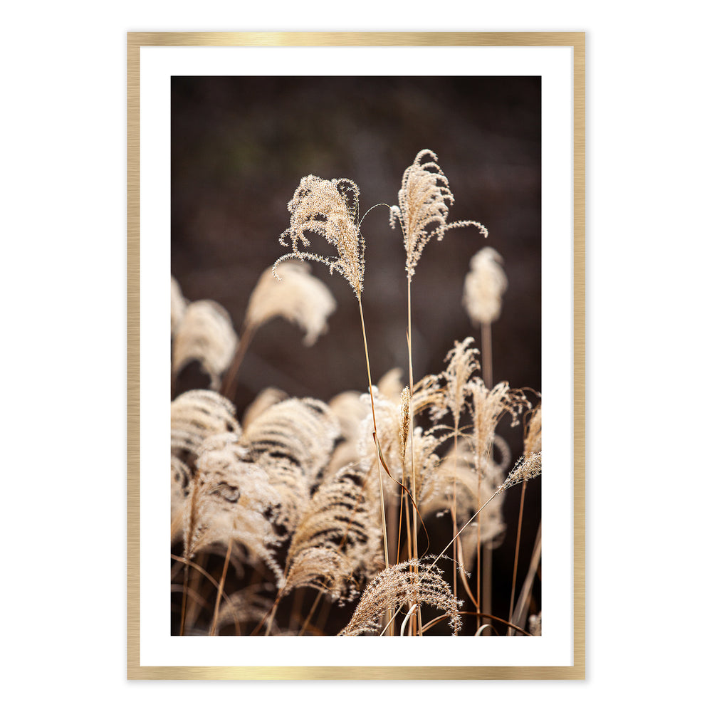 Mountain Grasses Photographic Print | Artistic Nature Decor