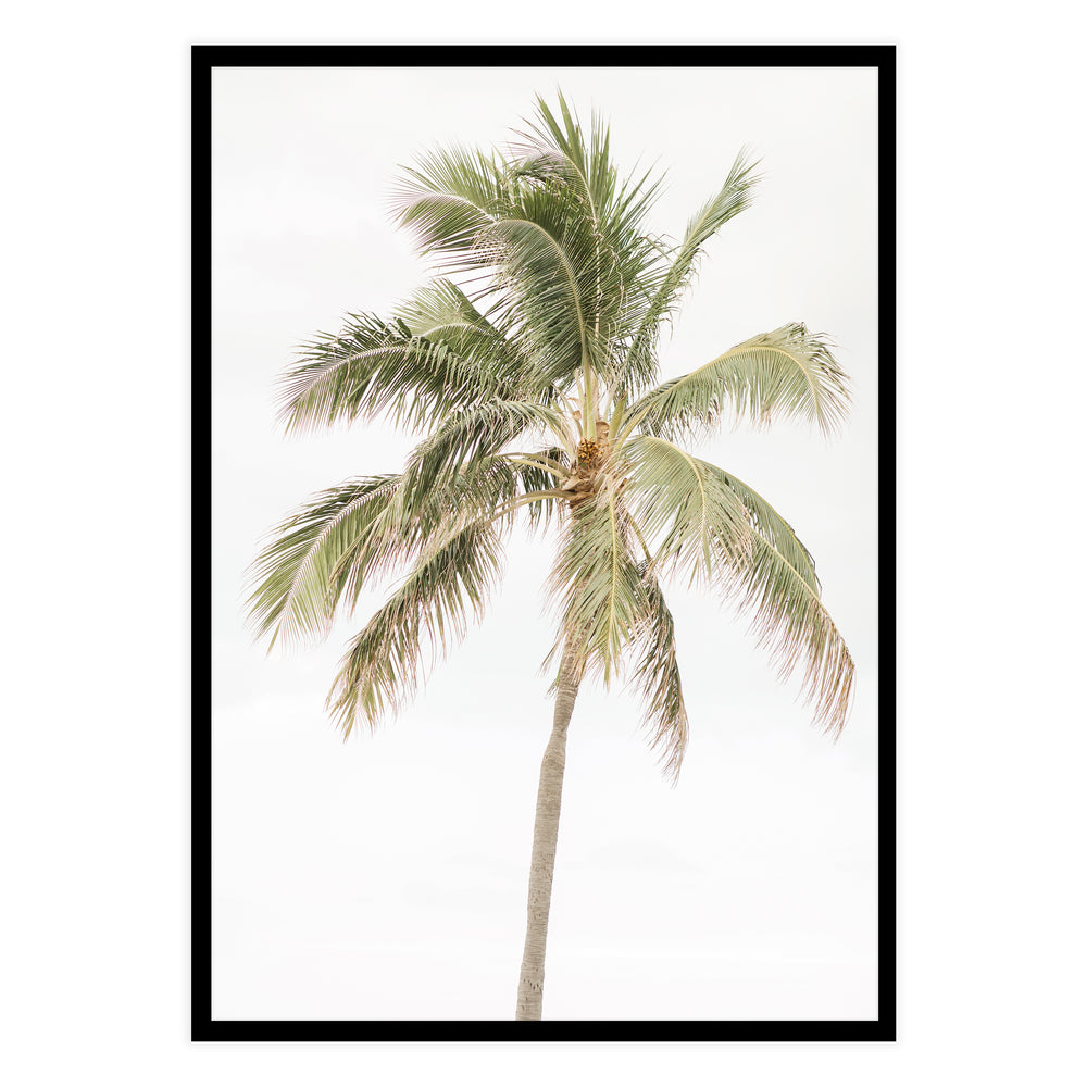 Palm Tree Photography Wall Art