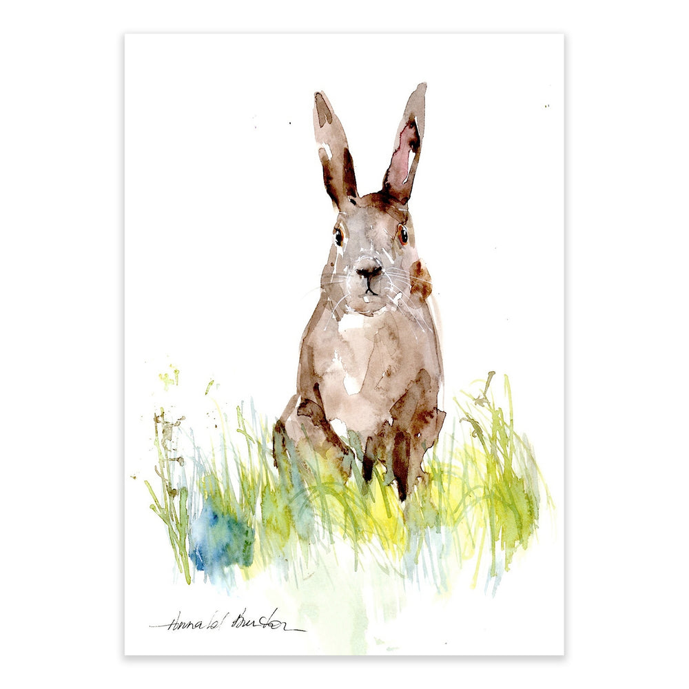 Annabel Burton Watercolour Bunny Framed Print