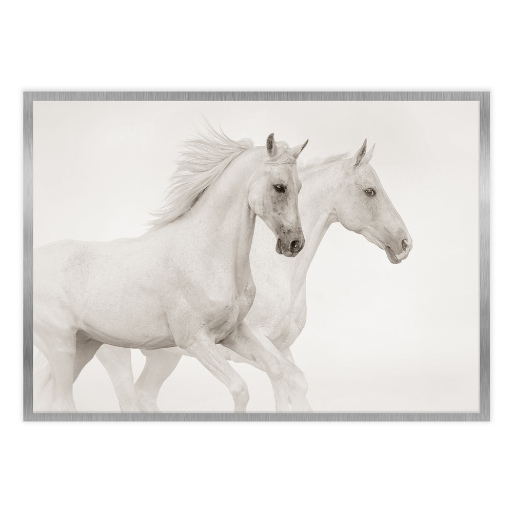 Ellisimo's White Horses Photography - Minimalist Nature Art