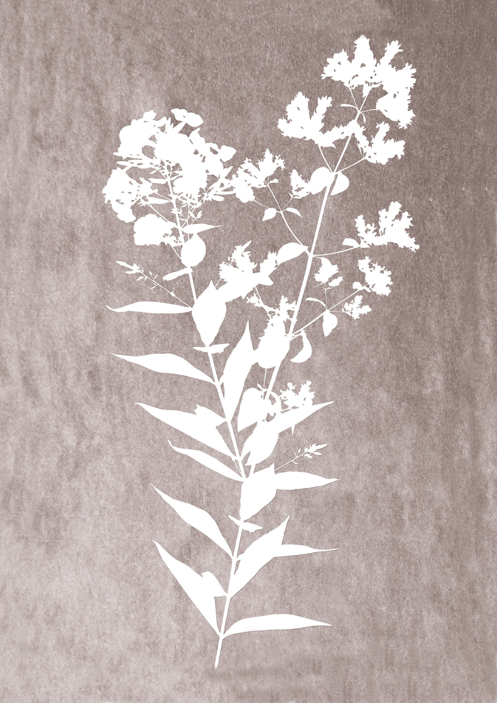 Delicate Botanical 01 Print - Rustic Neutral Wall Art
