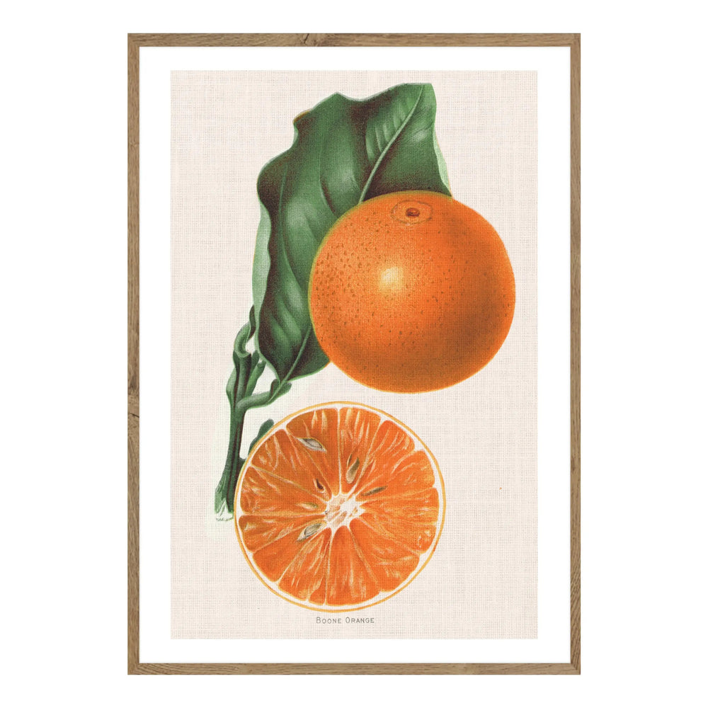 Vintage Orange