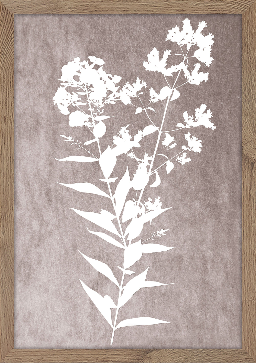 Delicate Botanical 01 Print - Rustic Neutral Wall Art