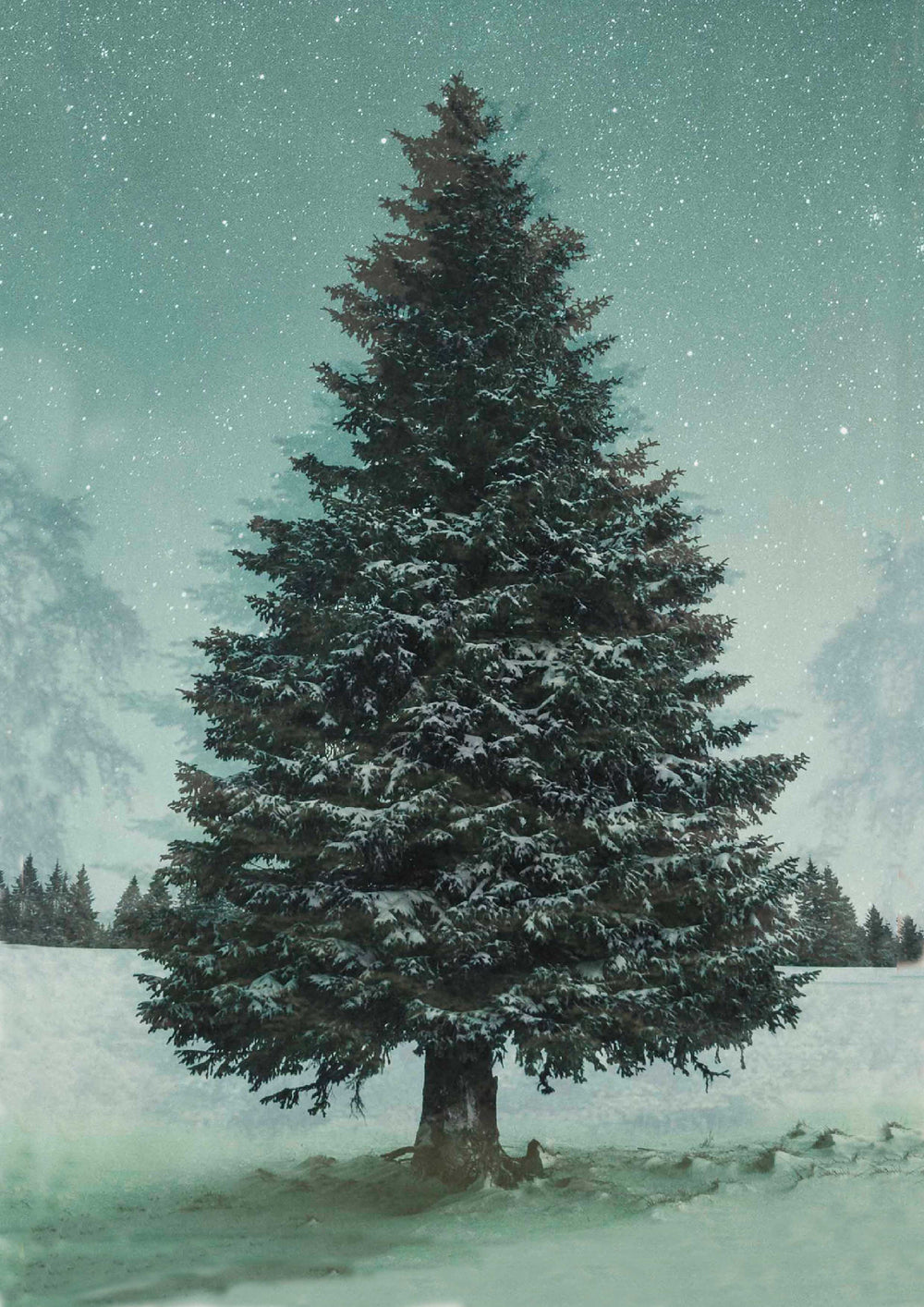 Winter Wonders Tree